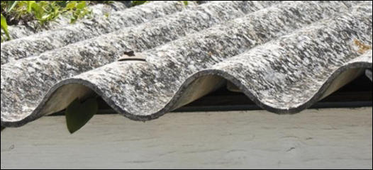 Asbestos garage roof removal Ashford