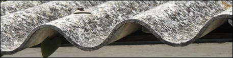 Asbestos garage roof removal Ashford