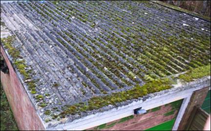 Asbestos roof removal Medway