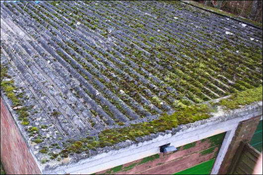 Asbestos roof removal Medway