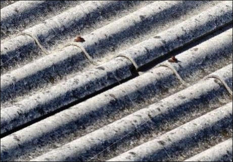 Asbestos roof removal Hastings