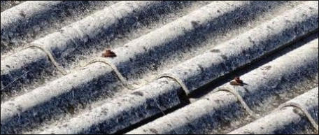 Asbestos roof removal Hastings